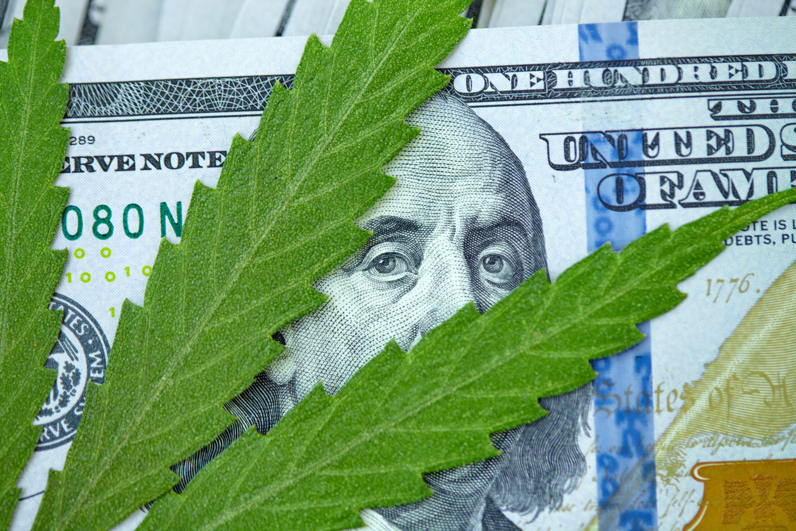 Cannabis leaf lies on top of American one hundred dollar bills, close up. Money from marijuana, hemp with money. Taxation and marijuana concept, weed tax