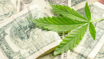 cannabis leaf and money