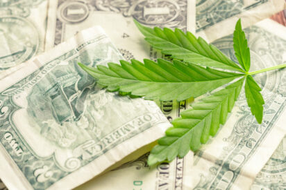 cannabis leaf and money