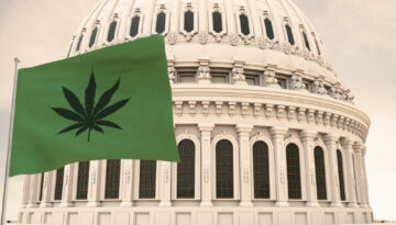 Beautiful flag of canabis, marijuana,weed , pot waving with the strong wind and behind it the dome of the Capitol USA 3D RENDER, 3D RENDERING.