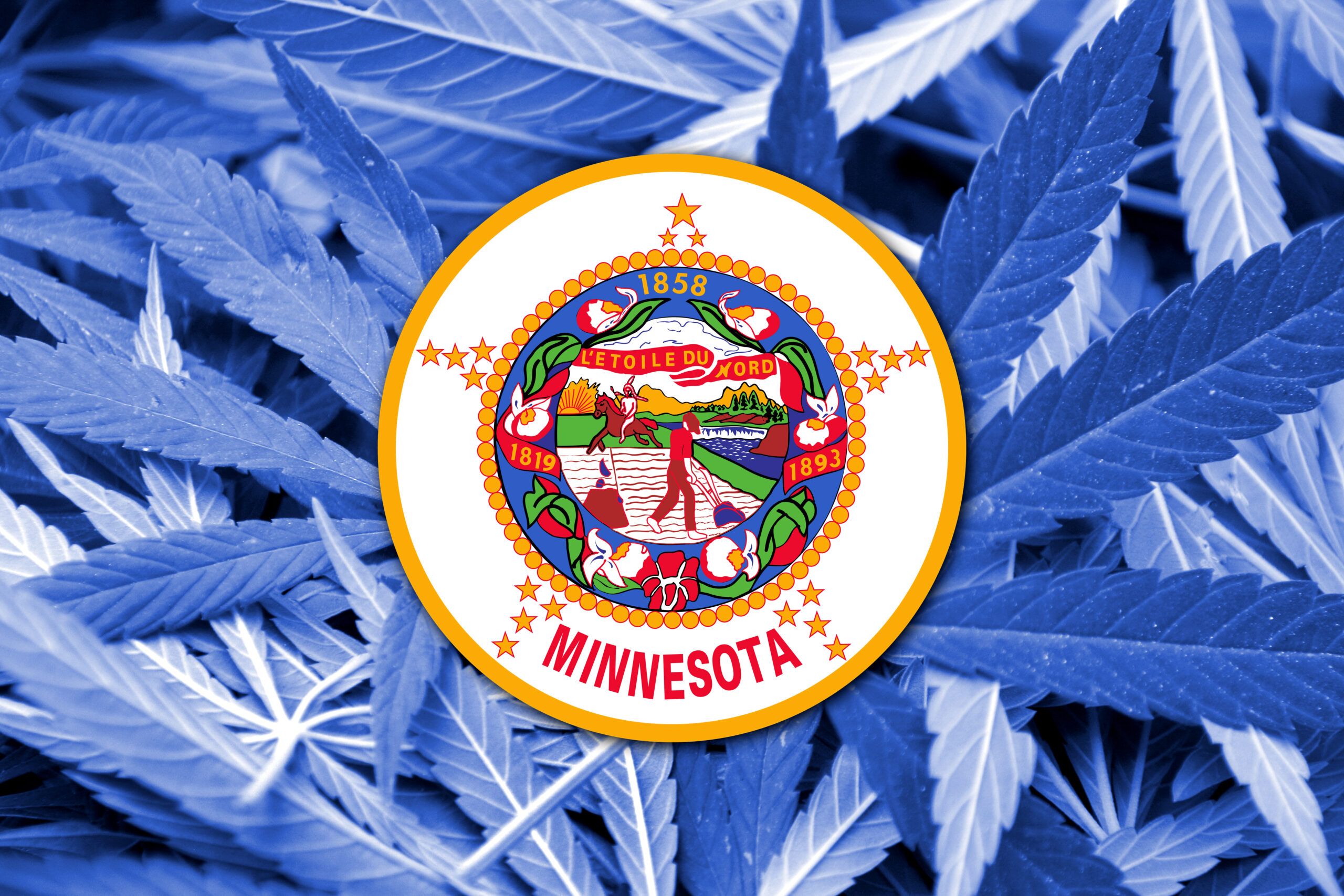 Minnesota State Flag on cannabis background. Drug policy. Legali