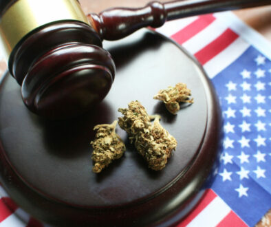The Legalization Of Marijuana High Quality
