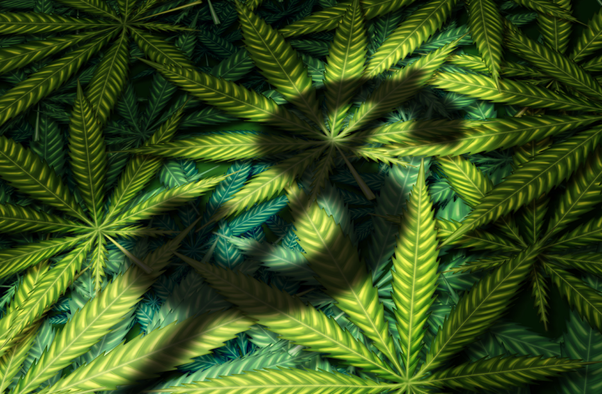 Navigating Taxes in the Cannabis Industry: A Practical Guide for 2023