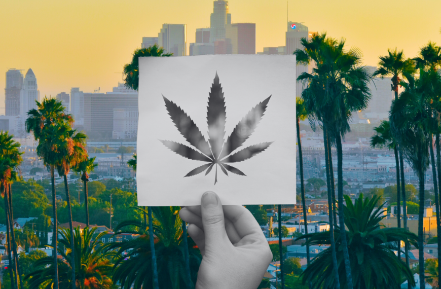 California’s Disappearing Benefits: The Golden State’s Support for Cannabis is Evaporating