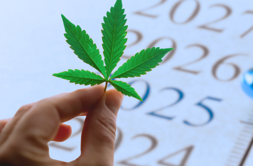 DEA Rescheduling of Cannabis: How Long and What Will Happen – Realistically?