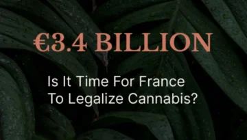 4 Billion - time for France to legalize?