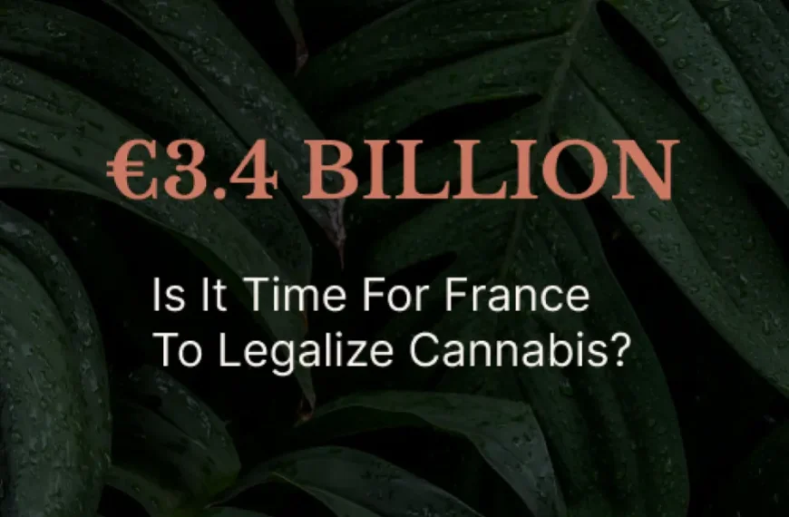 4 Billion - time for France to legalize?